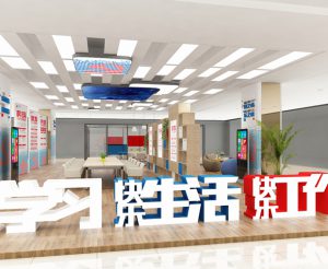 长沙市岳麓区红星美凯龙商圈党建设计方案