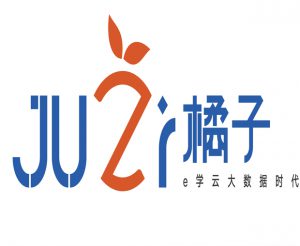 VI识别基本系统-LOGO设计1